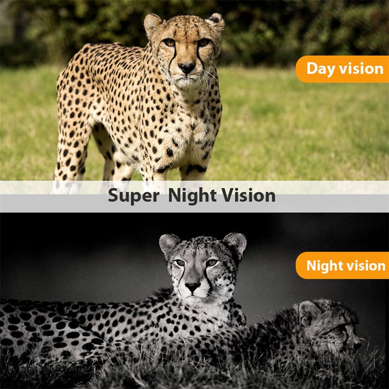 -801A 4K UHD 36MP 4G LTE Night - Outdoor Hunting Camera Wireless avaliação e preço