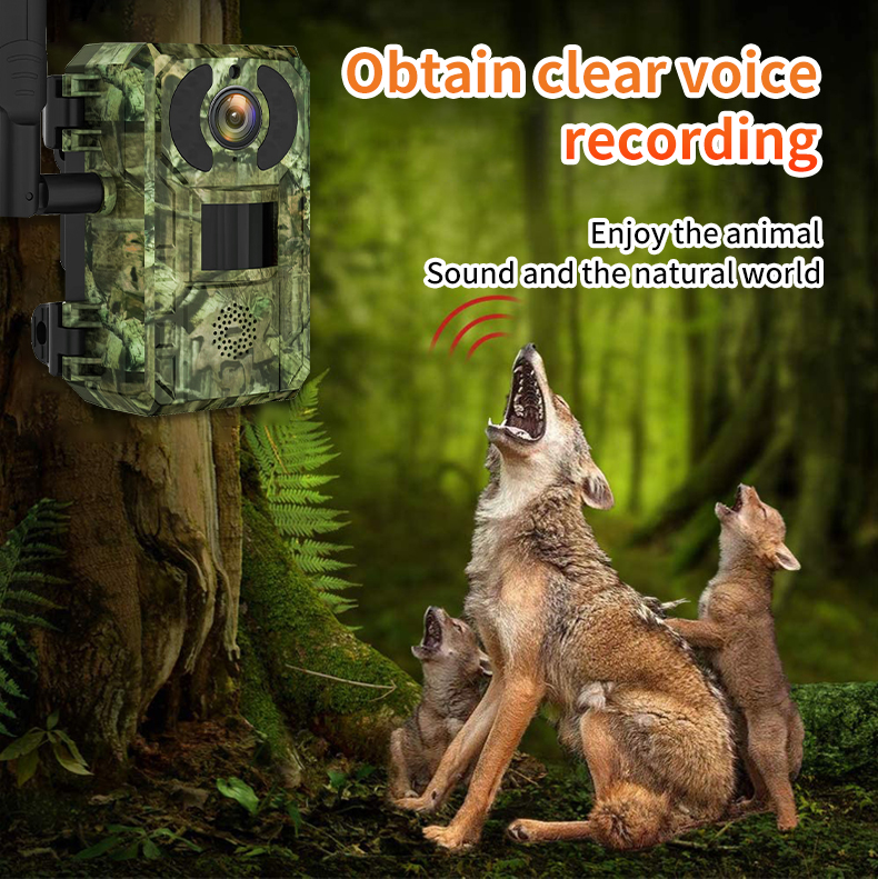 H10 4G Hunting Trail   With So - Outdoor Hunting Camera Wireless avaliação e preço