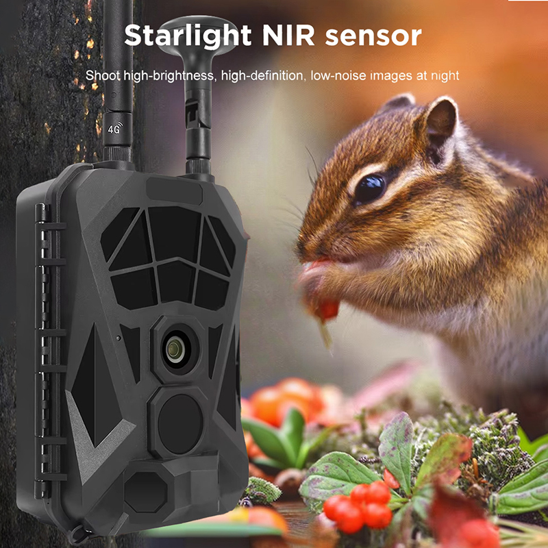 Trail Camera 4G GPS Wireless I - Outdoor Hunting Camera Wireless avaliação e preço