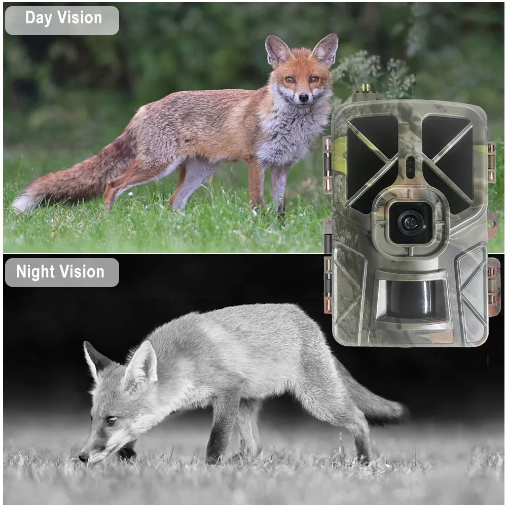 HC-935Pro 2K Outdoor Wildlife  - Outdoor Hunting Camera Wireless avaliação e preço