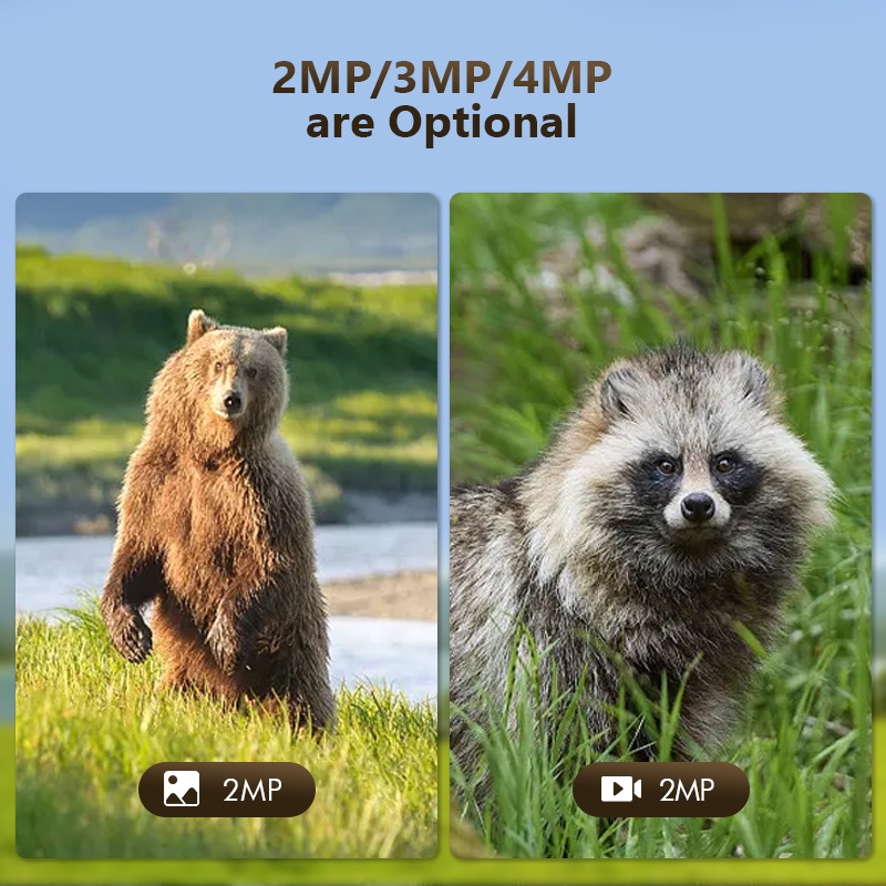 4G 4MP Outdoor Wildlife Huntin - Outdoor Hunting Camera Wireless avaliação e preço
