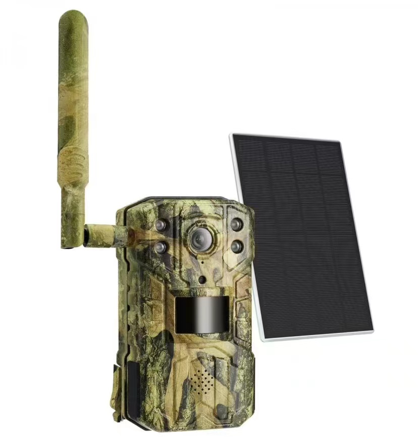 2K Support Solar Powered Lithi - Outdoor Hunting Camera Wireless avaliação e preço