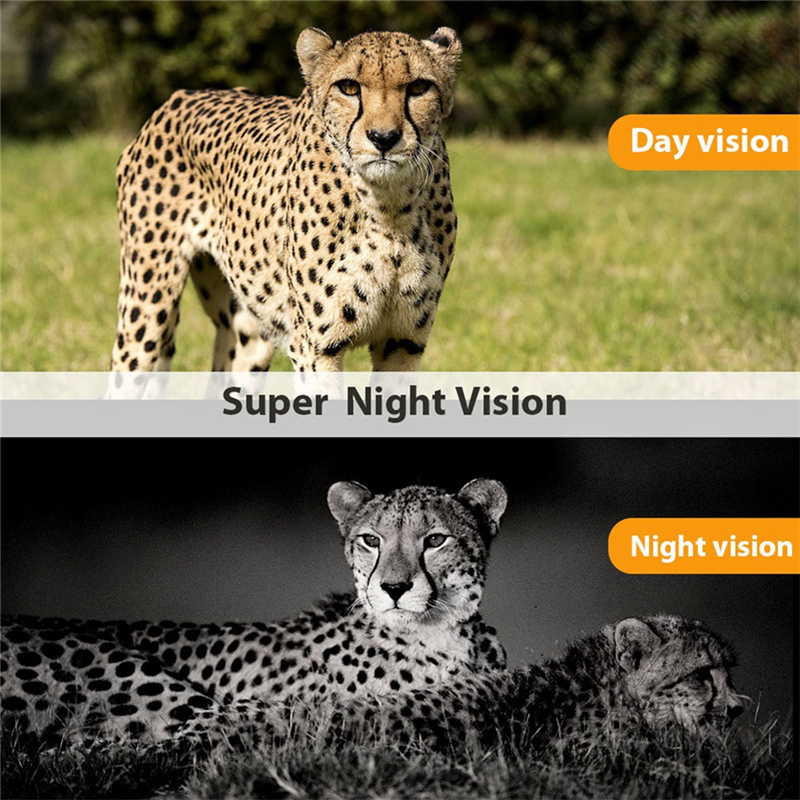 4G LTE 4K UHD 36MP Night Visio - Outdoor Hunting Camera Wireless avaliação e preço